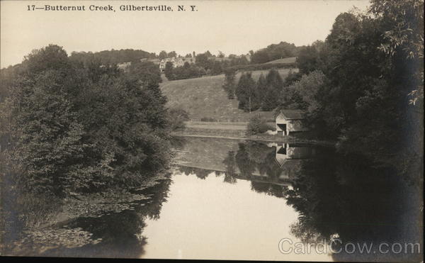 Butternut Creek Gilbertsville, NY Postcard