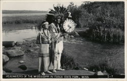 Headwaters of the Mississippi in Itasca State Park, Minn. Park Rapids, MN Postcard Postcard Postcard