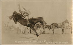 Bare Back Riding? Rodeos Postcard Postcard Postcard