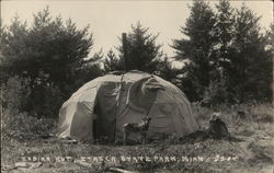 Indian Hut, Itasca State Park Park Rapids, MN Postcard Postcard Postcard