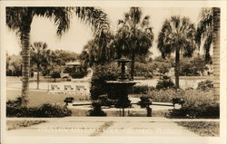 Fountain and Lake Eola Orlando, FL Postcard Postcard Postcard