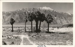 Mount San Jacinto from Seven Palms Indio, CA Postcard Postcard Postcard