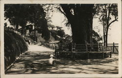 Penang Hill, Crag Hotel Malaysia Southeast Asia Postcard Postcard Postcard