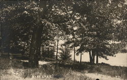 View of Bass Lake Landscapes Postcard Postcard Postcard