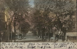 Residential Street Postcard