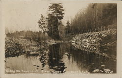 Along the Neversink River Postcard