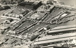 Aerial View Fisherman's Wharf Postcard