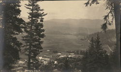 Bird's Eye View Postcard