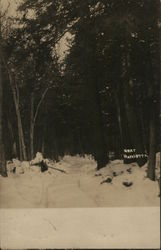 Snowy Road Through Woods Postcard