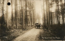 The Road Through the Pines Postcard