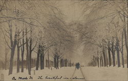 On Maple Street After the Ice Storm Battle Creek, MI Postcard Postcard Postcard