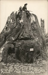 Del Norte Wonder Stump Crescent City, CA Postcard Postcard Postcard