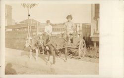 Children in Dog Carts Postcard