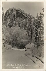 Shakespeare Cliff in Winter England Postcard Postcard Postcard