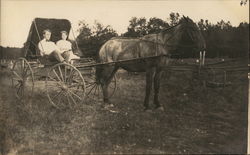 Couple in Horse Pulled Buggy Postcard