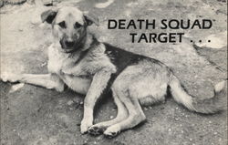 Dog as Death Squad Target Turkey Dogs Postcard Postcard Postcard