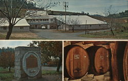 D'Agostini Winery Plymouth, CA Postcard Postcard Postcard