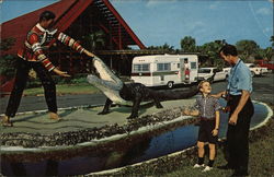 Holiday Rambler Shasta Travel Trailer Trailers, Campers & RVs Postcard Postcard Postcard