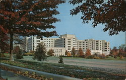 General Winfield Scott Building Postcard