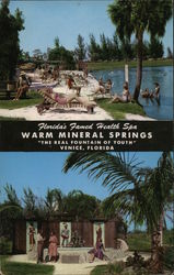 Warm Mineral Springs Venice, FL Postcard Postcard Postcard