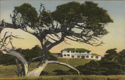 Cypress Point Club, On the Seventeen Mile Drive Pebble Beach, CA Postcard Postcard Postcard