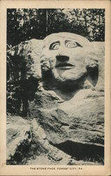 The Stone Face Postcard