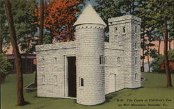 The Castle at Children's Zoo on Mill Mountain Postcard