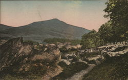 Green Peak Dorset, VT Postcard Postcard Postcard