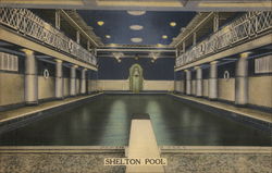 Shelton Pool New York City, NY Postcard Postcard Postcard