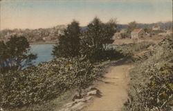 Approaching Perkins Cove Along the Marginal Way Ogunquit, ME Postcard Postcard Postcard