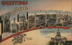 Greetings from Illinois Postcard