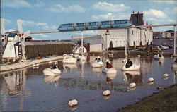 Swan Boats Lancaster, PA Postcard Postcard Postcard