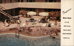 Tropicana Motor Hotel Postcard