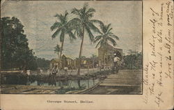 George Street, Belize Postcard