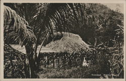 Trinidad Native House Postcard