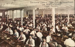 Sectional view of Cigar making department 'La Natividada" Cigar Factory Havana, Cuba Postcard Postcard Postcard