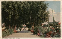 The Plaza de Armas (Park) Postcard