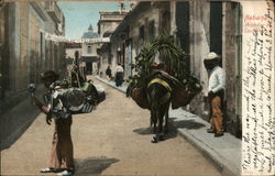 Habana, Vendedor de Cacharios Postcard