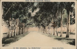 Views of the Argentine Republic In the Estanoia "La Primavera" Postcard