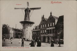 Rotterdam Postcard