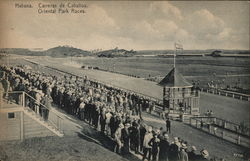 Carreras de Caballos Postcard