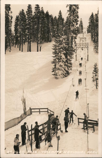 Badger Pass - Yosemite National Park Postcard