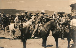 Charros Preparing for Competition Mexico Postcard Postcard Postcard