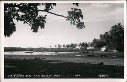 Landscape of de San Blas, Nayarit Postcard