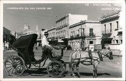 Carriages in Use Since 1900 Postcard