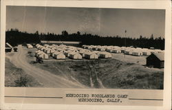 Mendocino Woodlands Camp Postcard