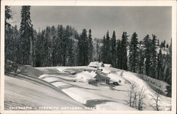 Snow at Chinquapin Postcard