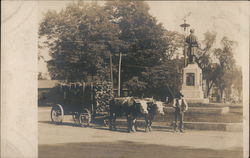 Wood Filled Cart Pulled by Cattle, Confederate Monument Horse-Drawn Postcard Postcard Postcard