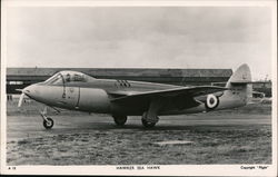 Hawker Sea Hawk Postcard