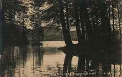 Along Shores of Rogers Brook Sunapee, NH Postcard Postcard Postcard